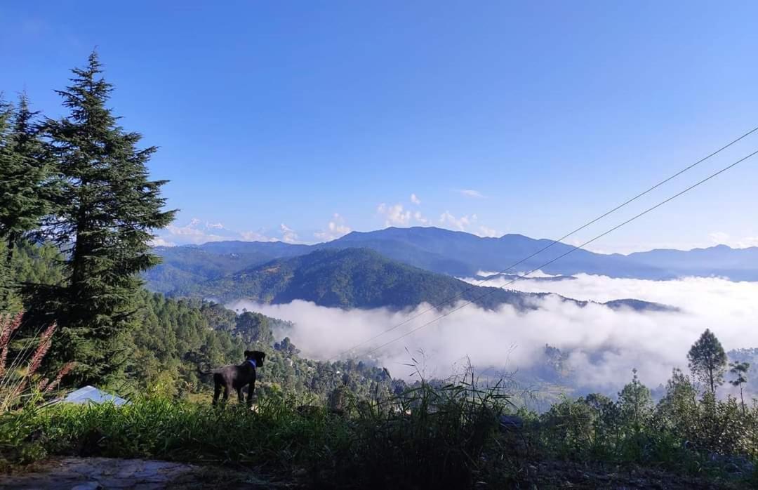 Little Himalayan Abode Villa Алмора Екстериор снимка