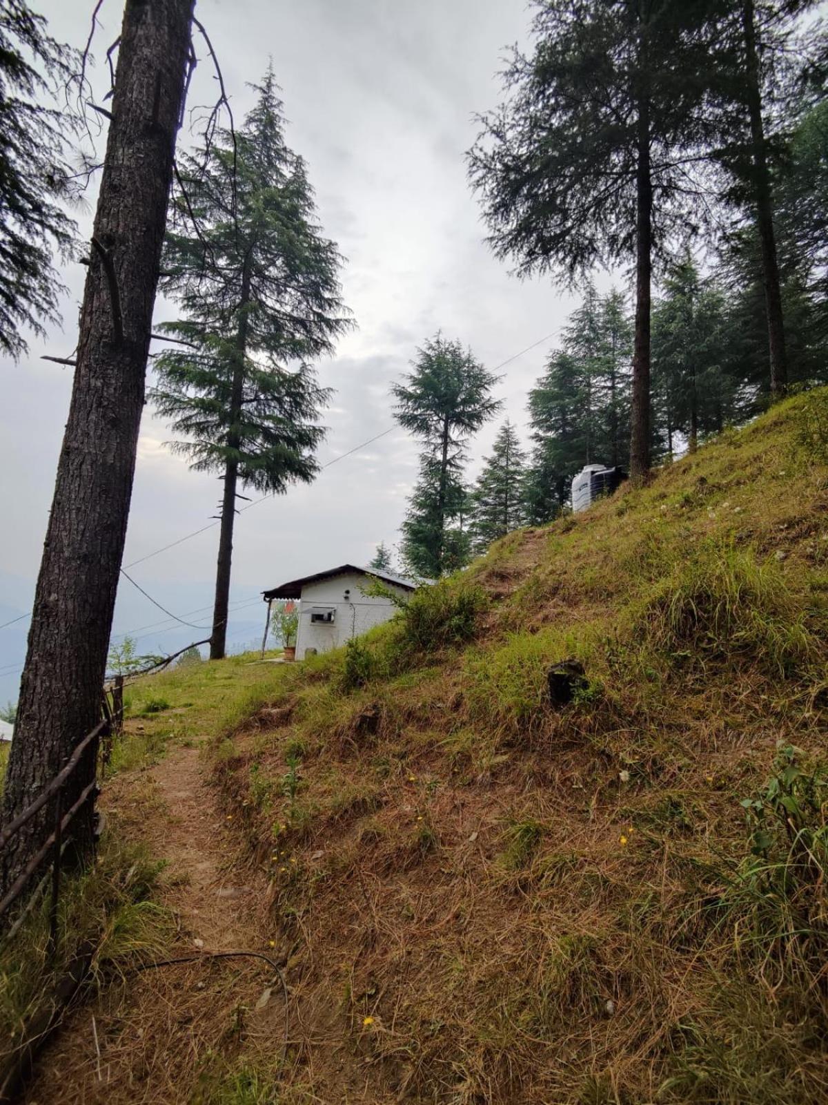 Little Himalayan Abode Villa Алмора Екстериор снимка